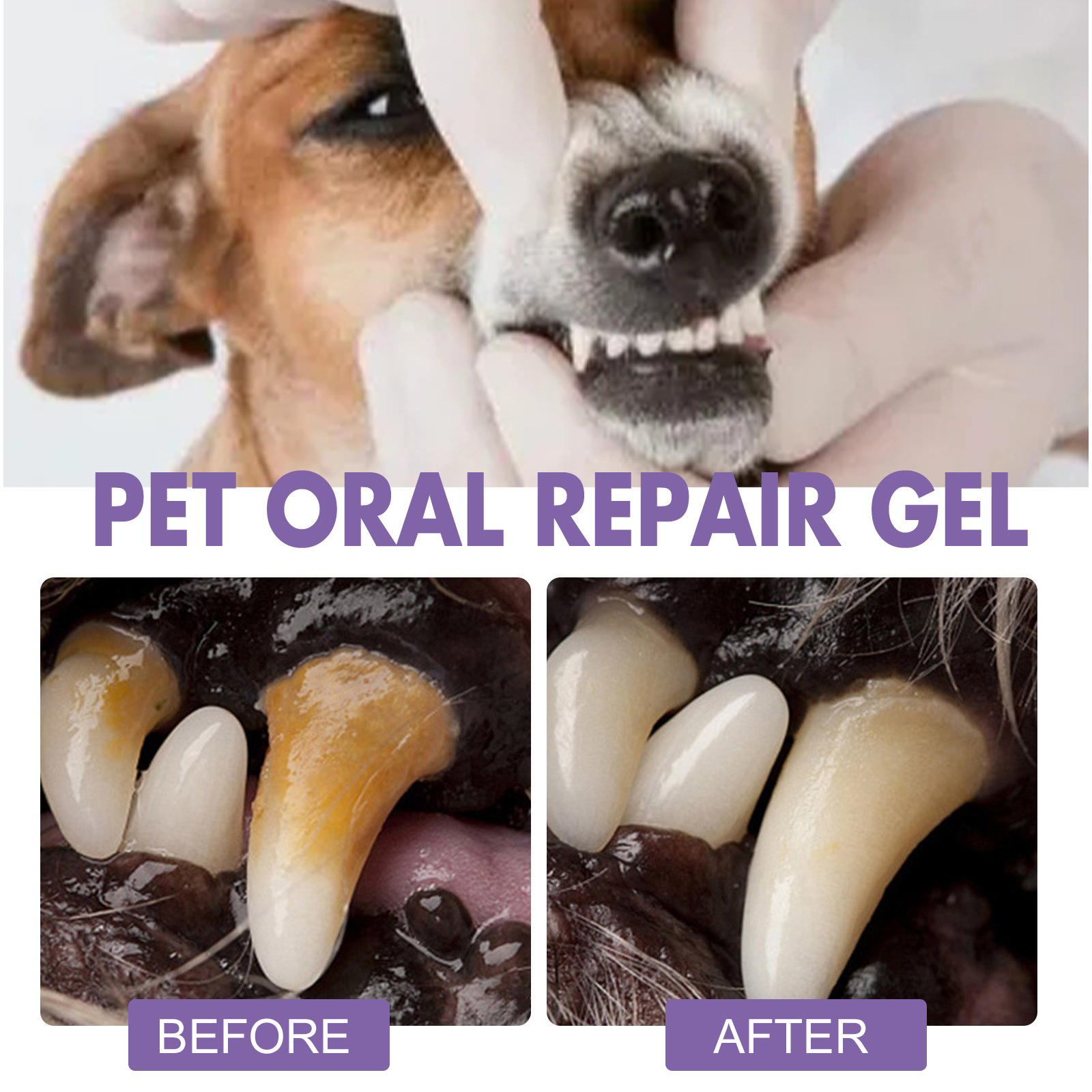 Gel perbaikan mulut hewan peli - Teeth Whitening App ulasan dan harga