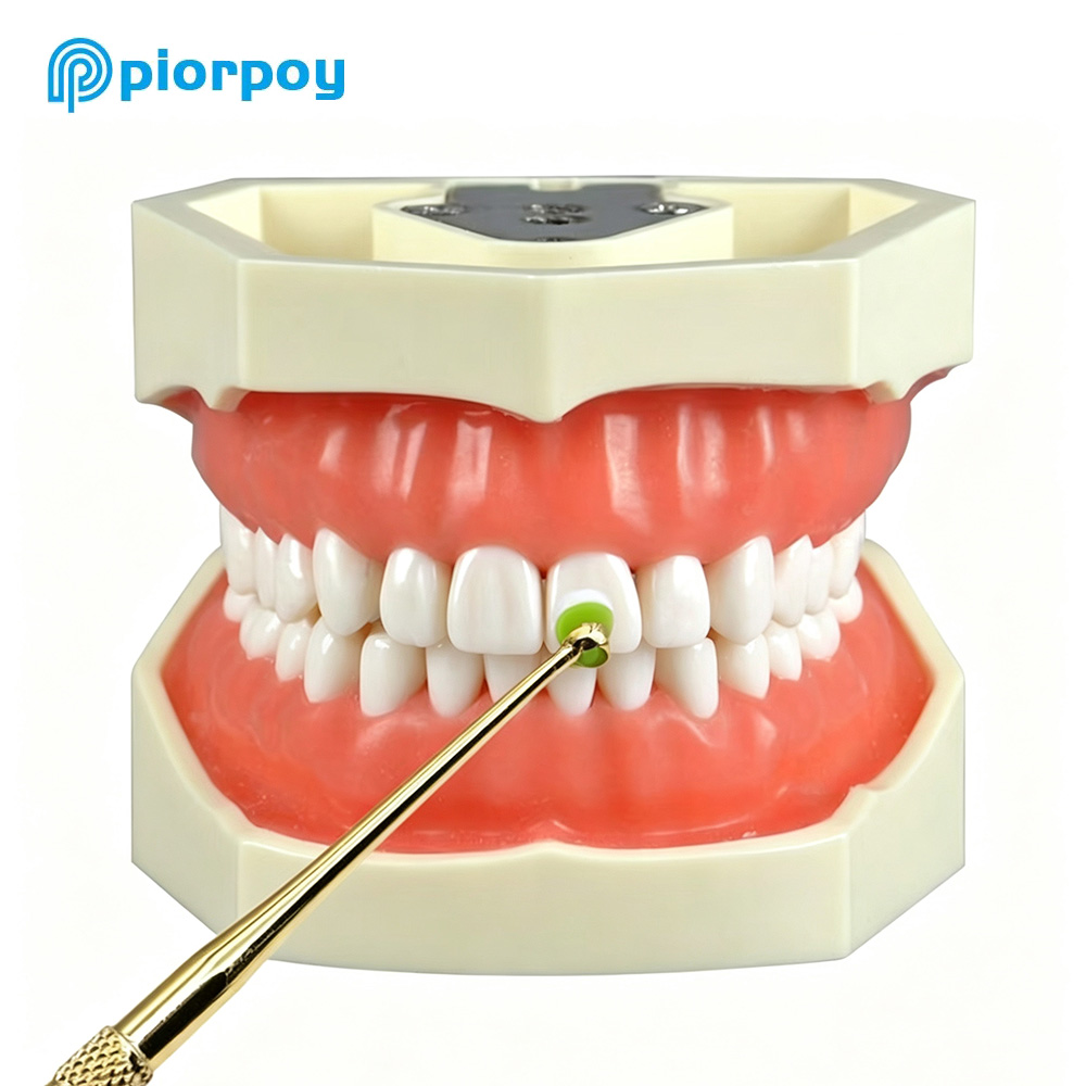 PIORPOY 1 Buah Alat Cetakan Pe - Teeth Whitening Quick ulasan dan harga